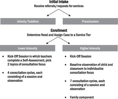Implementation of an early childhood mental health consultation pilot in Virginia: Critical tensions and implications for scale-up